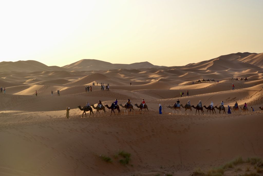 carovana cammelli deserto marrakech