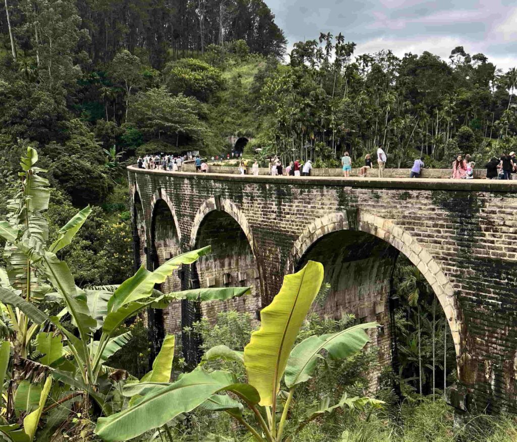 organizzare viaggio in sri lanka fai da te