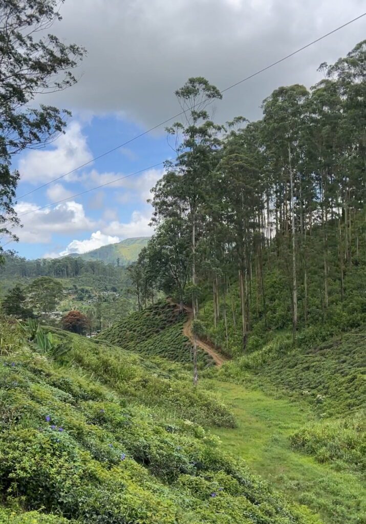 treno in sri lanka consigli