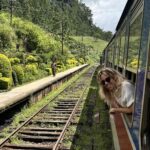 treno in sri lanka kandy ella