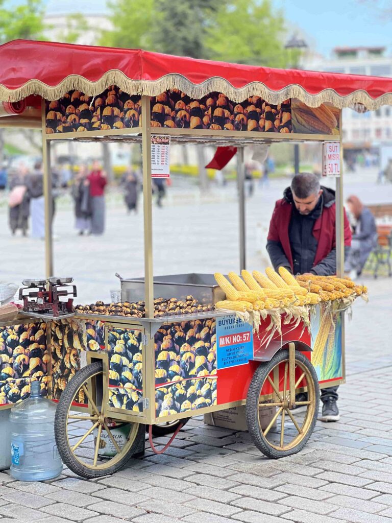 Turchia on the road Istanbul
